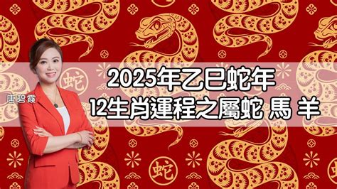 2025蛇年運程|蘇民峰2025蛇年運程｜犯太歲化解方法 12生肖整體運 